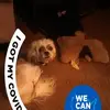 joannwingfield1 - @joannwingfield1 - TikTok