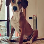 Joann Winter - @joannwinter14 - Instagram