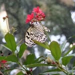 Joann Winter - @joann.winter.146 - Instagram
