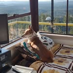 JoAnn Winter Stearns - @bhlakechallenge - Instagram