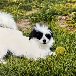 Jo Ann Workman Ford - @workmanford - Instagram