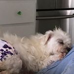 JoAnn York - @joann.york.35 - Instagram