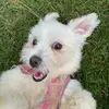 Joanna bear bear - @joanna.bear.bear - TikTok