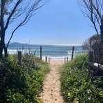 Joanna Benson - @birdsongonbay - Instagram