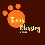 joanna Ch - @joannablessingkennel - Instagram