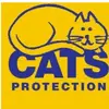 cats protection Morden - @joannabowes - TikTok