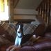 Joanna Brewer - Facebook