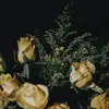 joannaburch8 - @joannaburch8 - TikTok