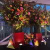 Johanna Carpio - @johanna.carpio74 - TikTok