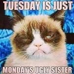 Joanna Cedillo - @joanna_hey - Instagram