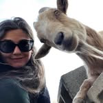 JoAnna Conte - @creationvibration_nm - Instagram