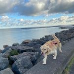 Joanna Cotter - @cotter.joanna - Instagram