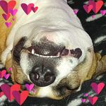 Joanna Doyle - @janna27666 - Instagram
