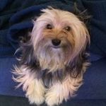 Joanna Doyle - @joanna.doyle.357 - Instagram