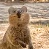 joannafeaster - @joannafeaster - TikTok