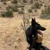 Joanna Fahey - @kobetripaw - TikTok