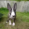joannamfahey - @joannamfahey - TikTok