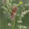 Joanna Fish - @joanna.fish - TikTok
