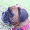 joannafranklin83 - @joannafranklin83 - TikTok