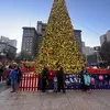 JoannaFranklin - @joannafranklin2 - TikTok