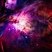 Joanna Hackett - Facebook