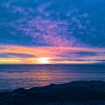 Joanna Hackett - @joanna77_71 - Instagram