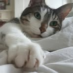Joanna Harper - Facebook