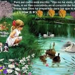Joanna Harrison - Facebook