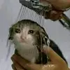 joanna._john - @joanna._john - TikTok