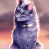 kauymovae - @joannajohn431029 - TikTok