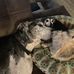 Joanna Key - Facebook