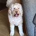 Joanna Mclaughlin - Facebook
