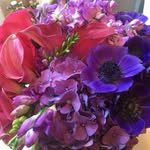 Joanna Levine Nadel - @joannanadel - Instagram