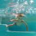 Joanna Lieberman - Facebook