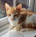 Joanna Lyons - Facebook