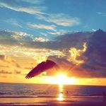 Joanna Marie - @joannalyons.purcell - Instagram