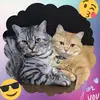 JoannaMack - @nienoyllepk - TikTok