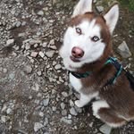 Joanna Macpherson - @joannamac24 - Instagram