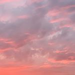Joanna Marlow Photography - @joanna.marlow.photography - Instagram