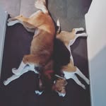 Joanna Mayer - @olyvia.kira - Instagram