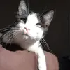 Joanna McDaniel - @joanna.mcdaniel5 - TikTok