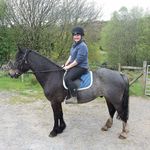 Joanna Phillips Meredith - @jo_phillips70 - Instagram
