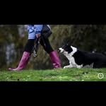 Joanna Nickson - @joannanickson - Instagram