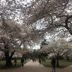 JoAnna Olson - @rojoe3 - Instagram