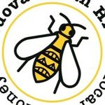 Joanna Elsas (Orr) - @urbanbeepottery - Instagram