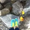 Joanna  - @joannaorr101 - TikTok