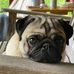 Joanna Parson - Facebook
