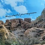 Joanna Petersen - @accidentaljourneymom - Instagram