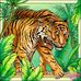 Joanne Phelps - Facebook