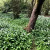 Joanna Power - @joanna.power3 - TikTok